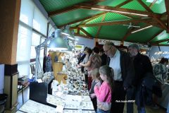 véritable-succès-du-2e-salon-des-minéraux
